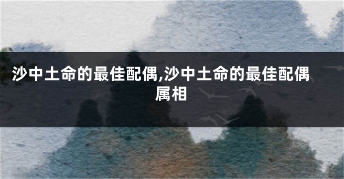 沙中土命的最佳配偶,沙中土命的最佳配偶属相