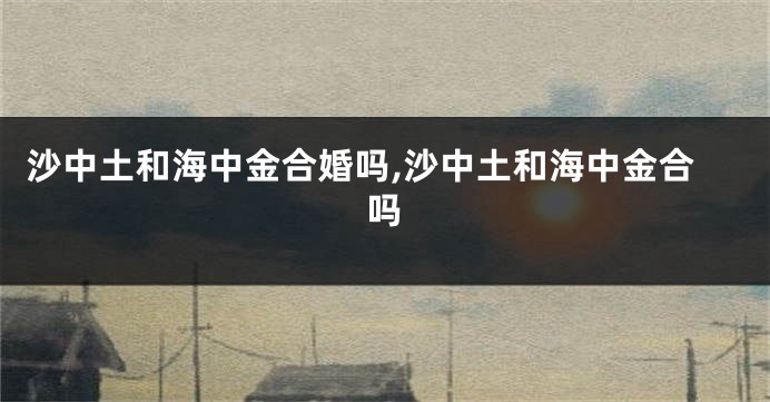 沙中土和海中金合婚吗,沙中土和海中金合吗