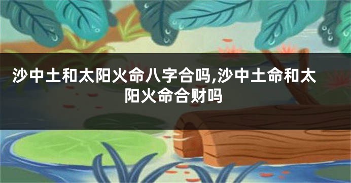 沙中土和太阳火命八字合吗,沙中土命和太阳火命合财吗