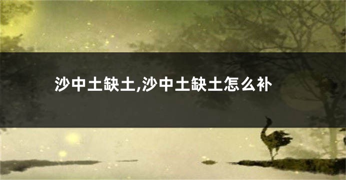 沙中土缺土,沙中土缺土怎么补