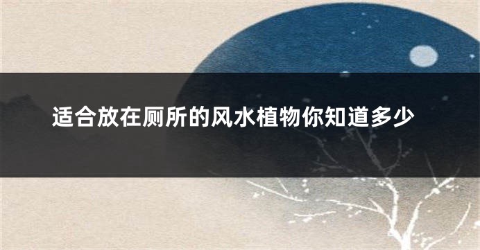 适合放在厕所的风水植物你知道多少