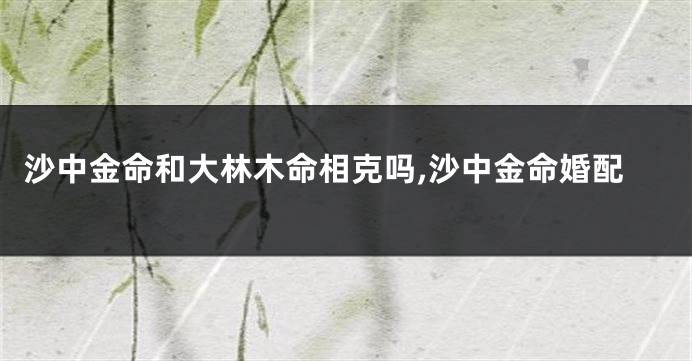 沙中金命和大林木命相克吗,沙中金命婚配
