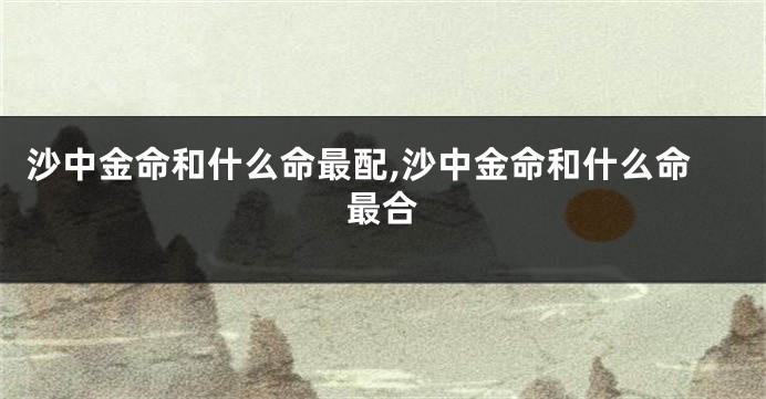 沙中金命和什么命最配,沙中金命和什么命最合