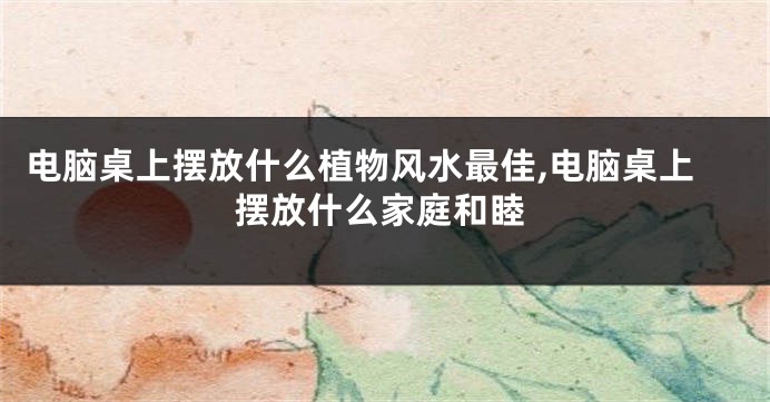电脑桌上摆放什么植物风水最佳,电脑桌上摆放什么家庭和睦