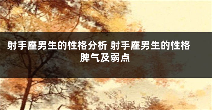 射手座男生的性格分析 射手座男生的性格脾气及弱点