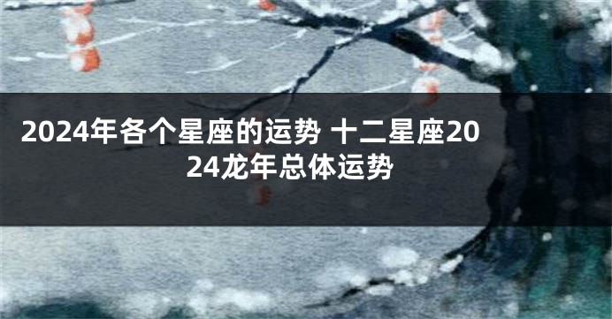2024年各个星座的运势 十二星座2024龙年总体运势