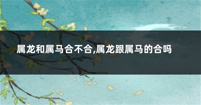 属龙和属马合不合,属龙跟属马的合吗