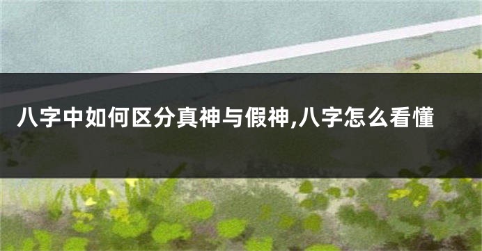 八字中如何区分真神与假神,八字怎么看懂