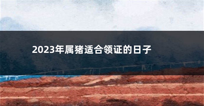 2023年属猪适合领证的日子