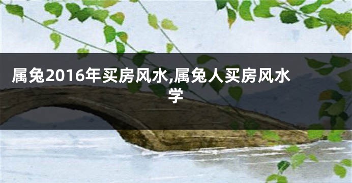 属兔2016年买房风水,属兔人买房风水学