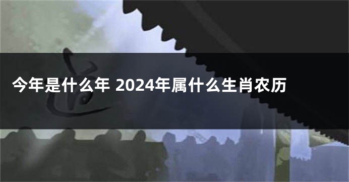 今年是什么年 2024年属什么生肖农历