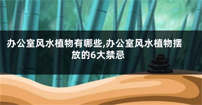 办公室风水植物有哪些,办公室风水植物摆放的6大禁忌