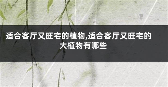 适合客厅又旺宅的植物,适合客厅又旺宅的大植物有哪些