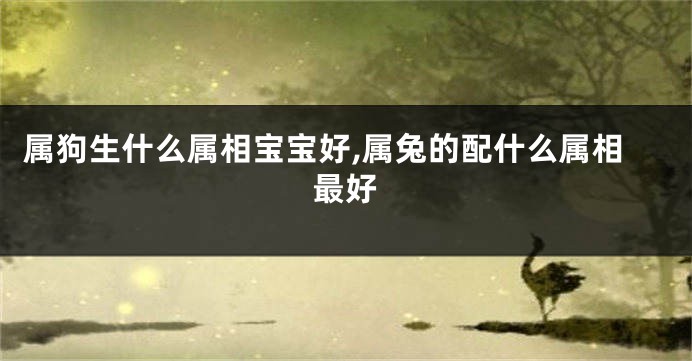 属狗生什么属相宝宝好,属兔的配什么属相最好