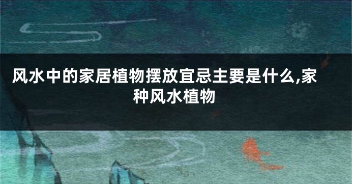 风水中的家居植物摆放宜忌主要是什么,家种风水植物