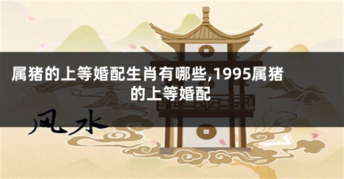 属猪的上等婚配生肖有哪些,1995属猪的上等婚配