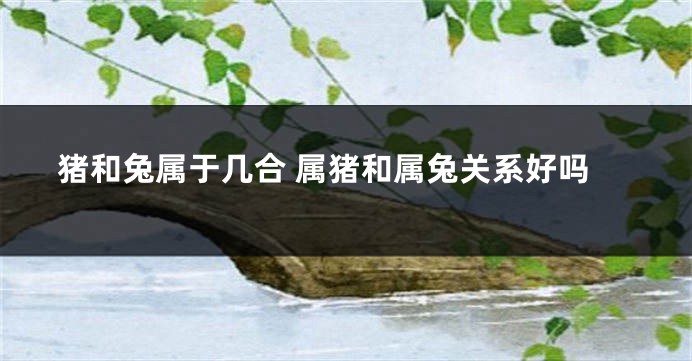 猪和兔属于几合 属猪和属兔关系好吗