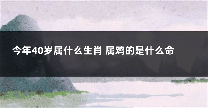 今年40岁属什么生肖 属鸡的是什么命