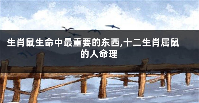 生肖鼠生命中最重要的东西,十二生肖属鼠的人命理