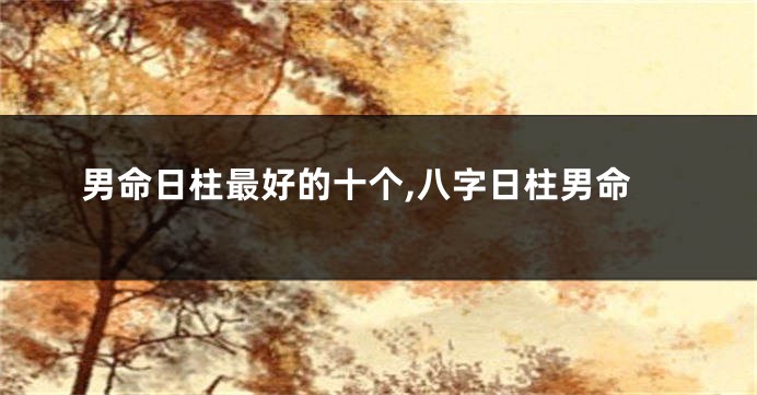 男命日柱最好的十个,八字日柱男命