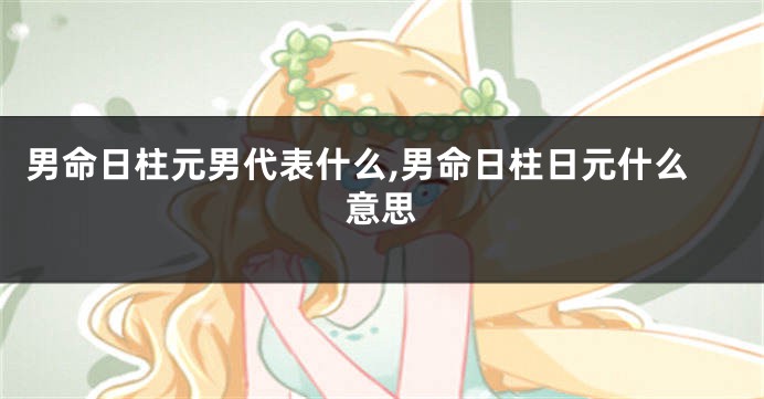 男命日柱元男代表什么,男命日柱日元什么意思