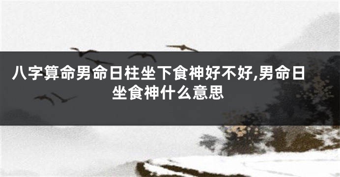 八字算命男命日柱坐下食神好不好,男命日坐食神什么意思