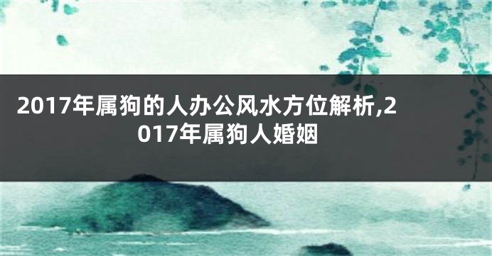 2017年属狗的人办公风水方位解析,2017年属狗人婚姻