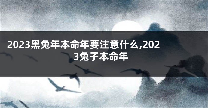 2023黑兔年本命年要注意什么,2023兔子本命年