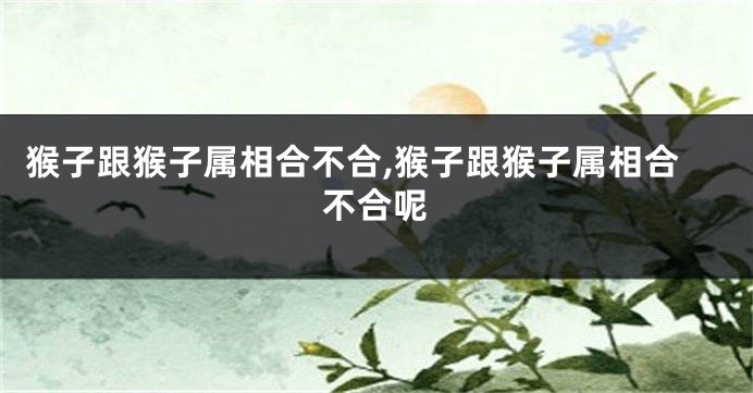 猴子跟猴子属相合不合,猴子跟猴子属相合不合呢