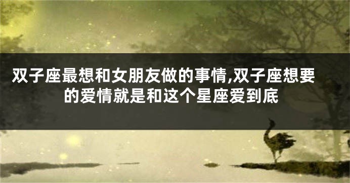 双子座最想和女朋友做的事情,双子座想要的爱情就是和这个星座爱到底