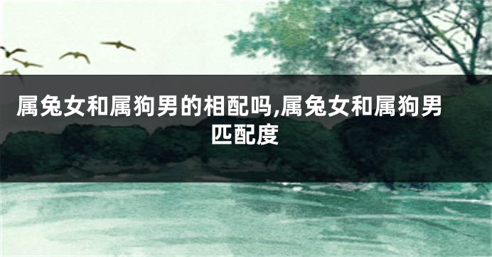 属兔女和属狗男的相配吗,属兔女和属狗男匹配度
