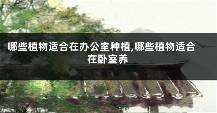 哪些植物适合在办公室种植,哪些植物适合在卧室养