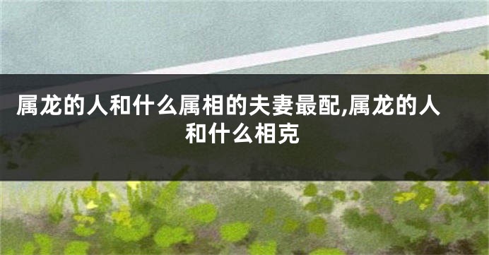 属龙的人和什么属相的夫妻最配,属龙的人和什么相克