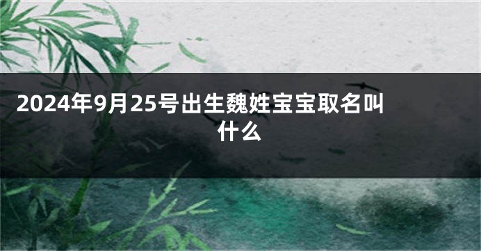 2024年9月25号出生魏姓宝宝取名叫什么