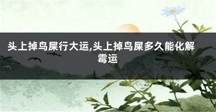 头上掉鸟屎行大运,头上掉鸟屎多久能化解霉运