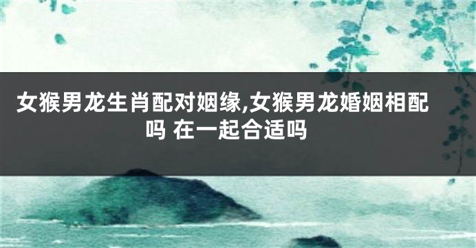 女猴男龙生肖配对姻缘,女猴男龙婚姻相配吗 在一起合适吗