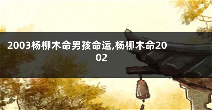 2003杨柳木命男孩命运,杨柳木命2002
