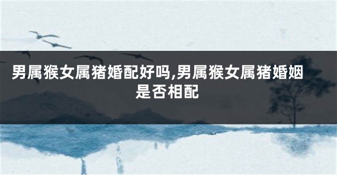 男属猴女属猪婚配好吗,男属猴女属猪婚姻是否相配