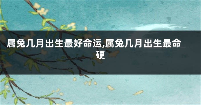 属兔几月出生最好命运,属兔几月出生最命硬