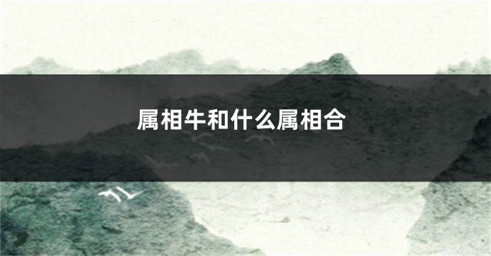 属相牛和什么属相合