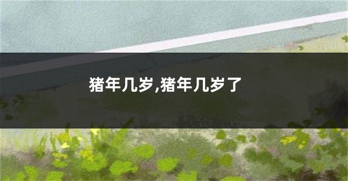 猪年几岁,猪年几岁了