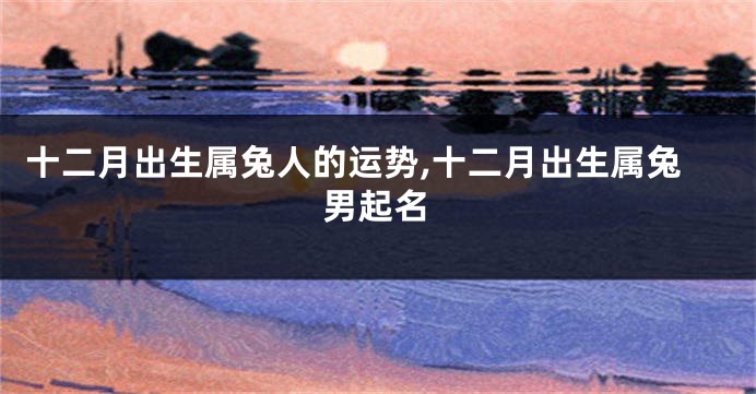 十二月出生属兔人的运势,十二月出生属兔男起名