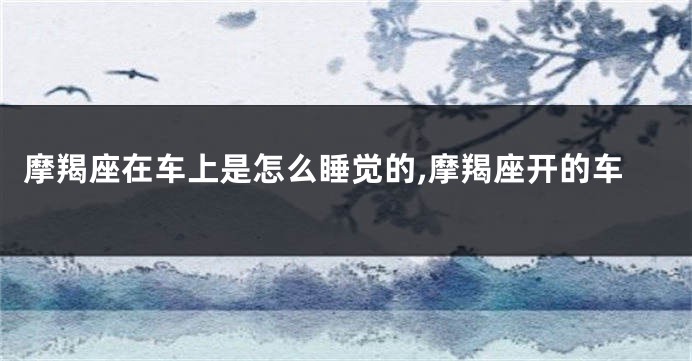 摩羯座在车上是怎么睡觉的,摩羯座开的车