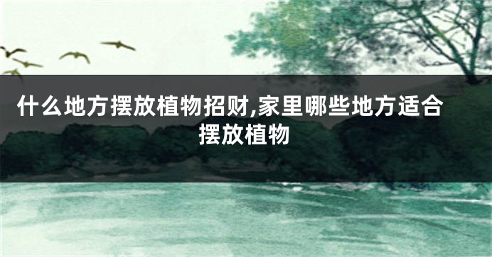 什么地方摆放植物招财,家里哪些地方适合摆放植物