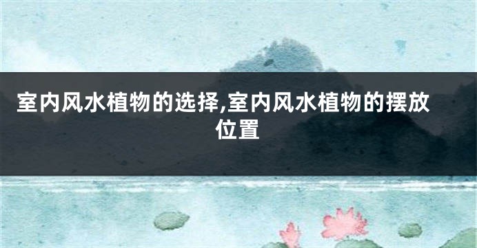 室内风水植物的选择,室内风水植物的摆放位置