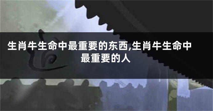生肖牛生命中最重要的东西,生肖牛生命中最重要的人