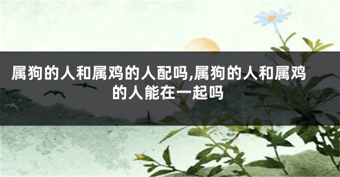 属狗的人和属鸡的人配吗,属狗的人和属鸡的人能在一起吗