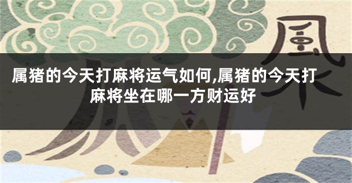 属猪的今天打麻将运气如何,属猪的今天打麻将坐在哪一方财运好