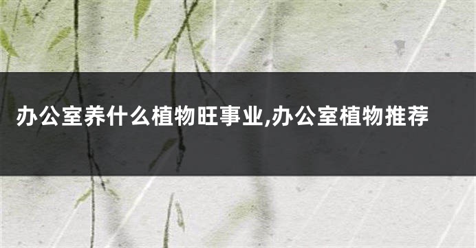 办公室养什么植物旺事业,办公室植物推荐