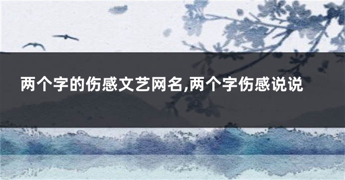 两个字的伤感文艺网名,两个字伤感说说